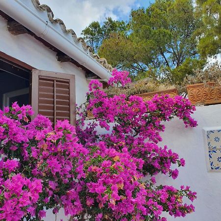 Villa Tonnara San Vito Lo Capo Bagian luar foto