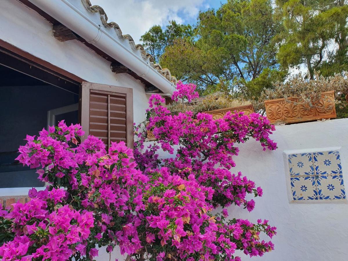 Villa Tonnara San Vito Lo Capo Bagian luar foto